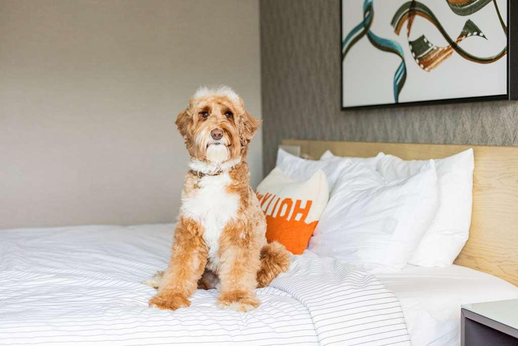 Cambria Hotel Burbank Airport Δωμάτιο φωτογραφία
